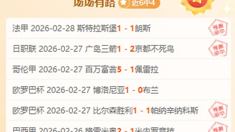 黄蜂六连胜解析：克尼佩尔重塑球队风格