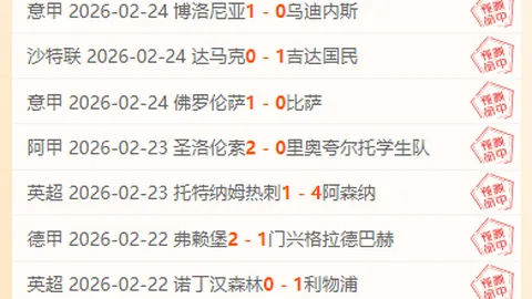 南通支云足球俱乐部引进亚历山大·帕洛切维奇租借球员